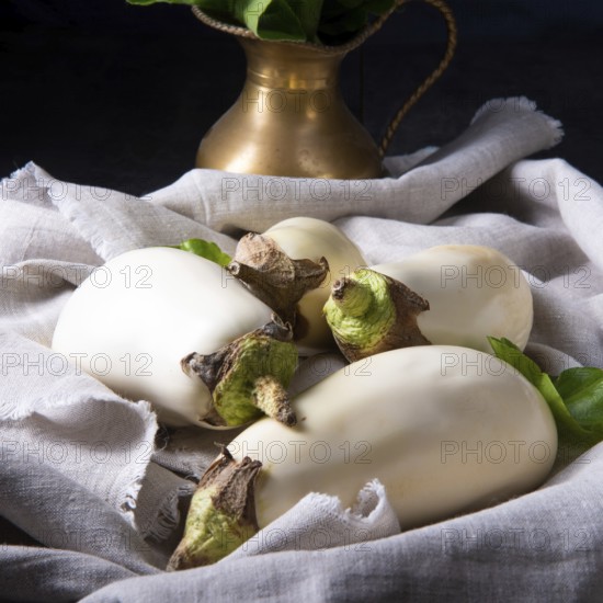 Die Auberginen (Solanum melongena) ist eine Art in der Nachtschattenfamilie (Solanaceae), die für ihre essbare Frucht angebaut wird