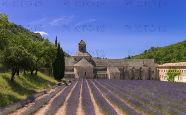 Monasteries of the Cistercian