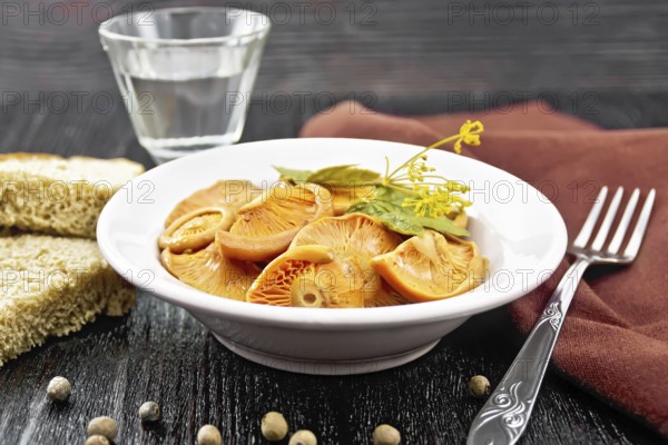Salted mushrooms saffron with sour cream, currant leaf and sprig of dill in plate, fork, towel, bread and a glass of vodka on black wooden board background