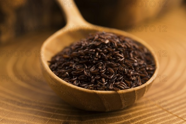 Psyllium seeds on wooden spoon