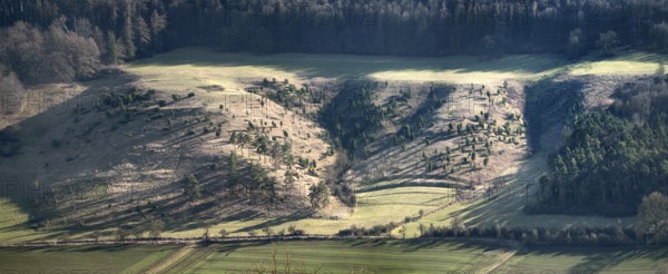 Kalkmagerrasen im Diemeltal, Chalk grassland in the River Diemel Valley, nature reserve European Prime Butterfly Area, nature reserve Reinhardswald, Liebenau, Hesse, Germany, Europe
