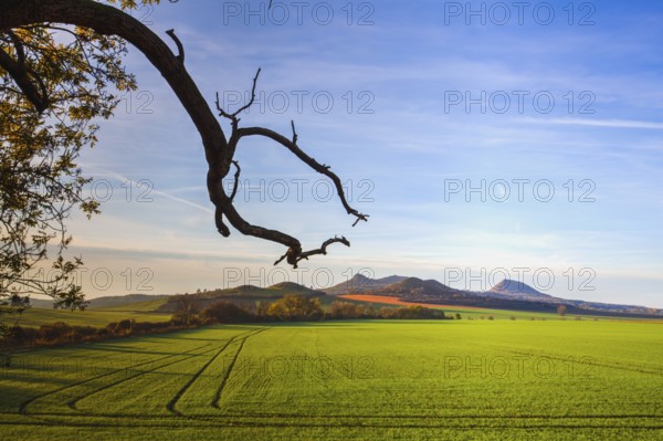 The morning in Central Bohemian Highlands, Czech Republic. Central Bohemian Uplands is a mountain range located in northern Bohemia. The range is about 80 km long