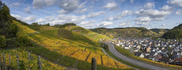 Hiking on the red wine trail in the Ahr valley with sunshine in autumn