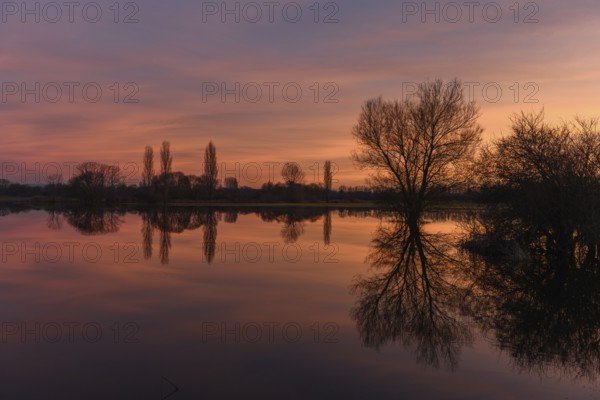 Trees reflecting in the water at sunset. Winter landscape red and orange sky. Bas-Rhin, Alsace, Grand Est, France, Europe