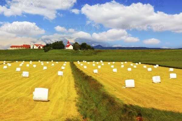 Rural pastoral after harvesting. Big field with haystacks. The farm and different economic constructions is in the distance visible