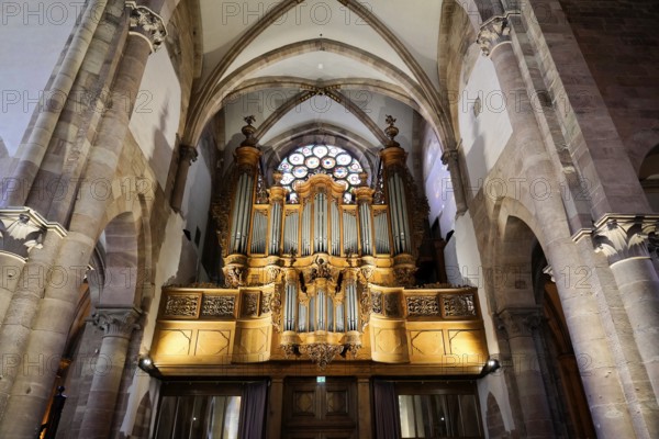 The Lutheran Church of St Thomas, Église Saint Thomas de Strasbourg, Alsace, Large church organ with impressive rose window and Gothic arches, atmospheric lighting, Strasbourg, Strasbourg, Bas-Rhin, Alsace, Alsace, France, Europe