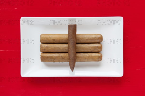 White ceramic dish with luxury Cuban cigars on over red background, rectangle dish