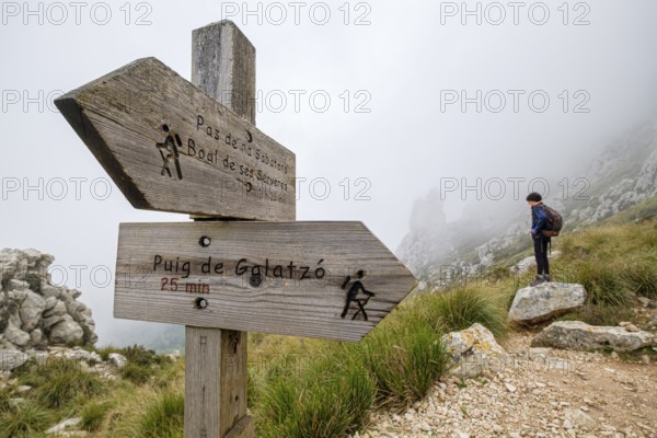 Ascent path to Puig de Galatzó, indicator sign, Tramontana sierra, Majorca, Balearic Islands, Spain, Europe