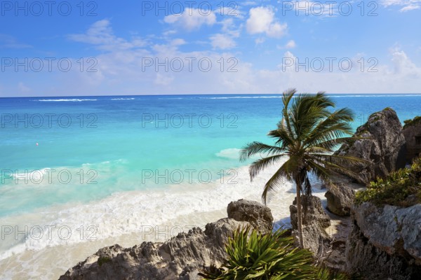 Tulum turquoise beach palm tree in Riviera Maya at Mayan Mexico