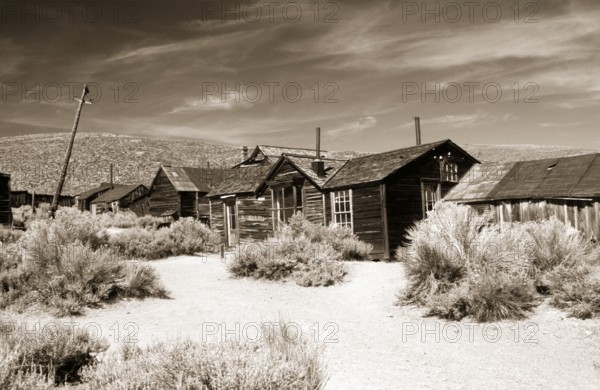 A dusty path between thorny undergrowth leads to poor wooden houses and crooked lamp posts in the former gold mining town of Bodie. Photo in sepia tones. A dusty path between thorny shrubs leads to wretched wooden houses and crooked light masts in the former gold mining town Bodie. Photo in sepia tone