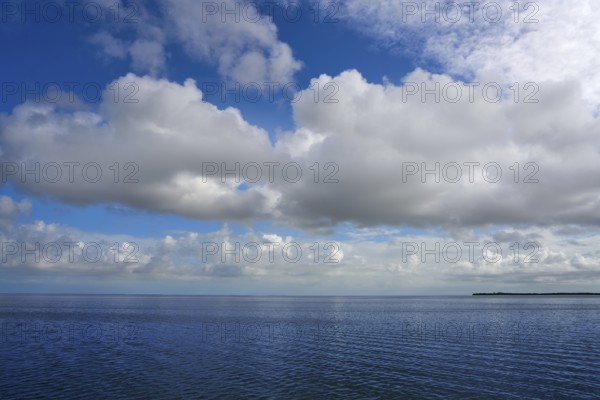 Holbox Yalahau also Conil lagoon in Quintana Roo Mexico