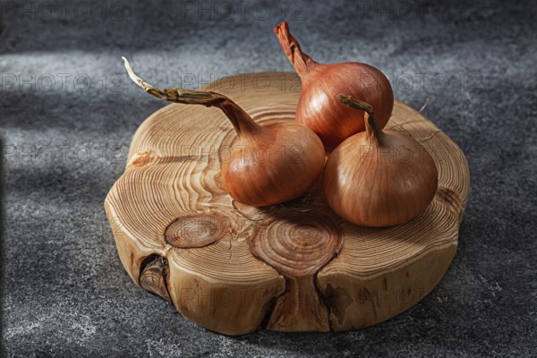 Onion Fruits On Wooden Board