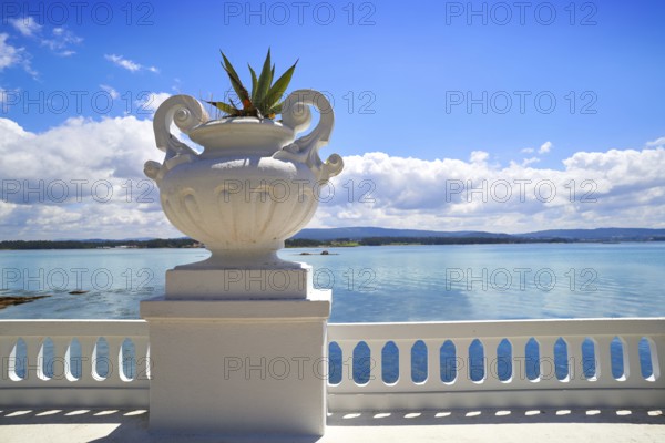 La Toja island Toxa beach flower pot in Pontevedra Galicia Spain