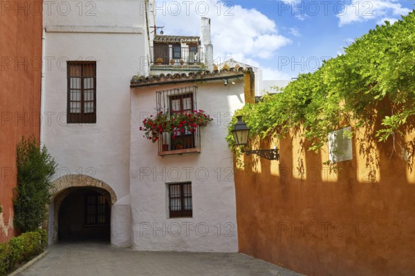 Seville Juderia barrio in Andalusia Sevilla of Spain