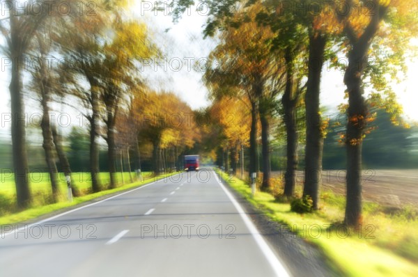 Avenue with trees in a frenzy of speed