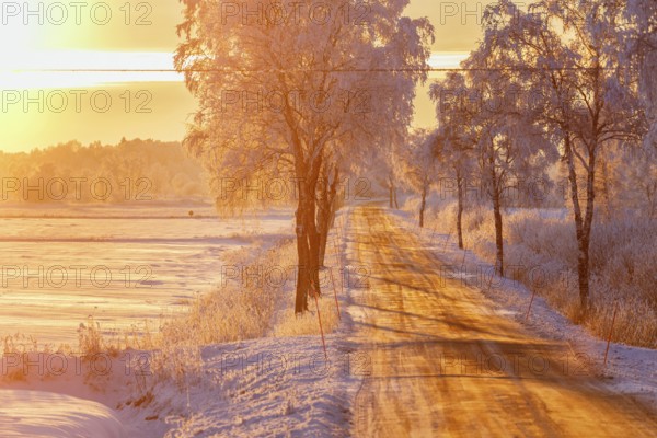 Country road in sunset light in a winter landscape