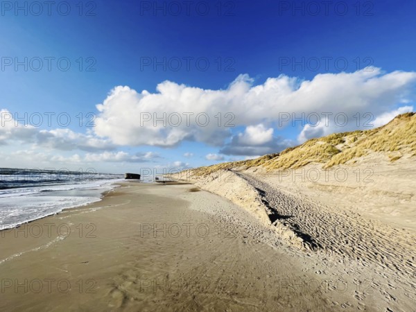 Sandy beach beach on the Danish North Sea