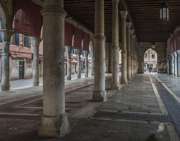Italy Venice Pescheria fish market hall -176 near the Rialto Bridge on the Grand Canal neo-Gothic open columned hall from 1907