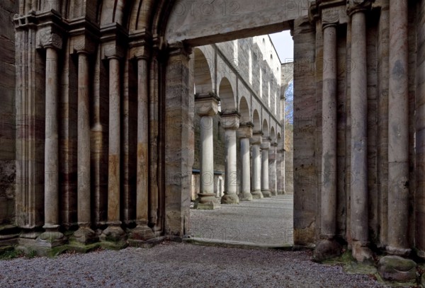 Paulinzella. Monastery ruins. Main construction period 1105-24 since 16-17th century Ruin of the main portal looking through the northern arcades of the nave to the east, St., Sankt, Saint