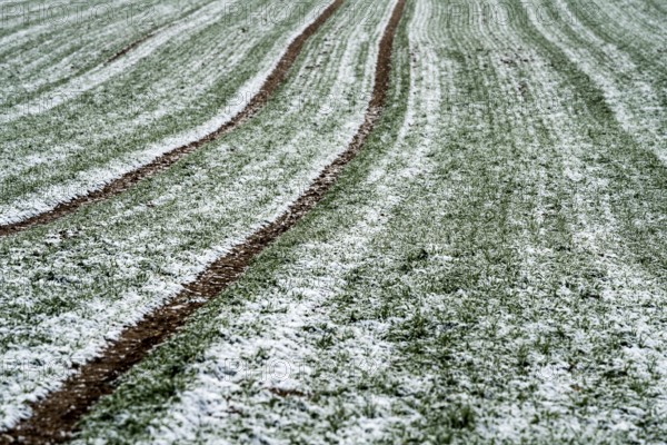 Agricultural fields in winter, Oberweser, Upper Weser Valley, Weser Uplands, Weserbergland, Hesse, Germany, Europe