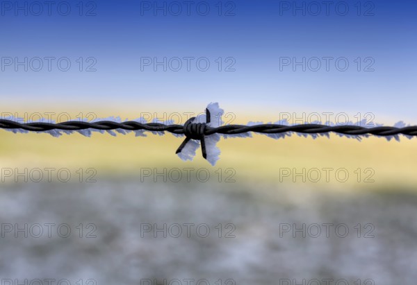 Barbed wire fence with hoarfrost