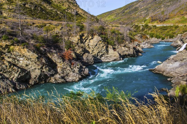 New Zealand. Magnificent mountainous rapid river with melted glacial water and steep banks. Scenic Spots of New Zealand. The concept of active, extreme, ecological and photo tourism