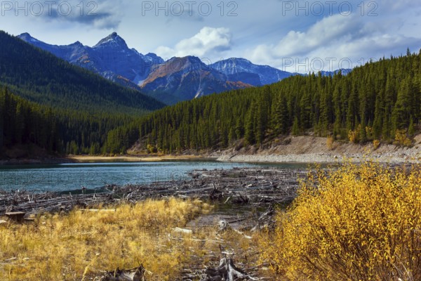 The Canadian Rockies. Shallow lake in the mountains covered with evergreen forest. Bright autumn day in Indian summer. The concept of active, ecological and photo tourism