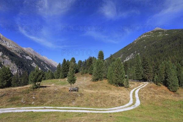 Valley in the mountains of Austria. Sunny autumn day. The dirt path winds between yellowed fields