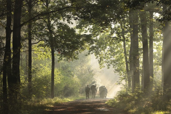 Soldiers walk along a path through an early autumn forest on a sunny, foggy morning