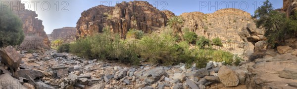 Hiking through the iconic Amtoudi canyon in the Anti-Atlas, Morocco, Africa