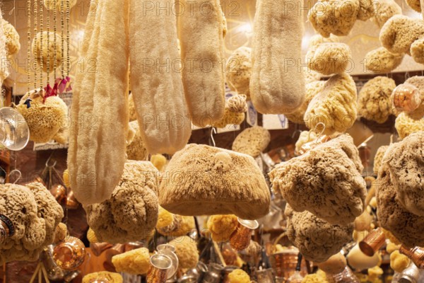 Collection of natural marine sea sponges for spa and Wellness on a market stall