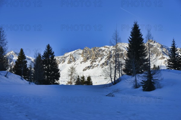 Winter landscape with trees and snow, photo picture digital image, in the italian european dolomiti alps mountains between trento and belluno in north italy