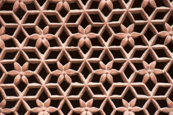 Lattice window, junagarh fort, bikaner, rajasthan, india, asia