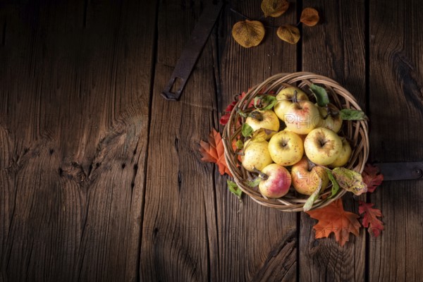 Frische und leckere bio-äpfel in einem korb