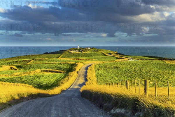 Southern Scenic Route. South Island of New Zealand. Incredible orange sunset over green fields. Lush cumulus clouds are lit by the sun. The concept of automotive and photo tourism