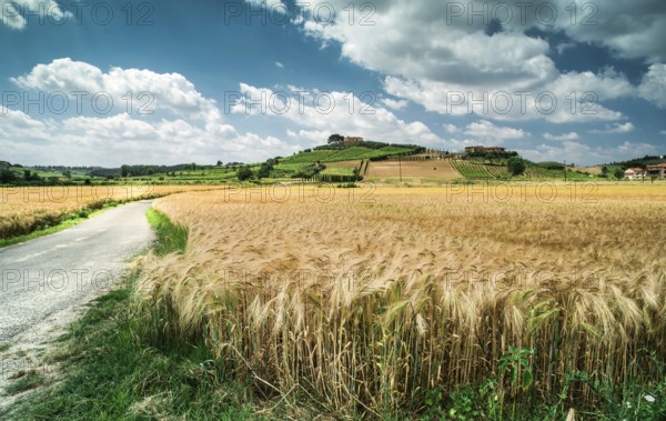 Getreide und Landwirtschaft in der Toskana