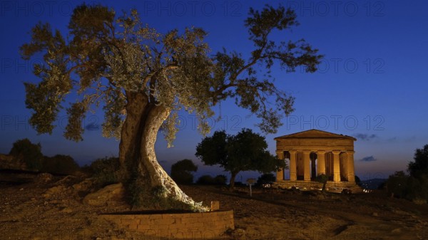 Italy, Sicily, Agrigento, Temple of Concordia by night, Temple of Concordia, Greek antiquity, Europe