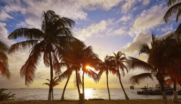 Isla Mujeres island Caribbean beach sunset palm trees Riviera Maya in Mexico