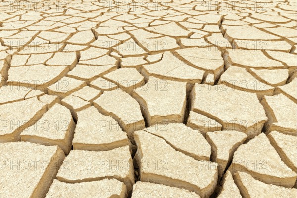 Dry soil in Israel, Middle East, parched soil, cracks Israel