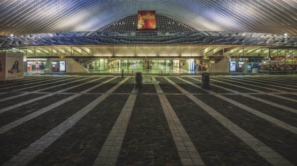 Architecture and entrance of a railway station at night, illuminated and symmetrical, Liège-Guillemins railway station, Liège-Guillemins, Belgium, Europe