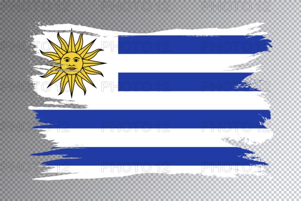 Uruguay flag brush stroke, national flag on transparent background