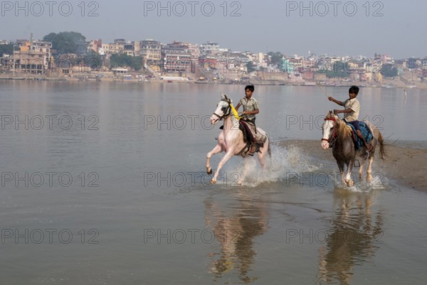 Boys riding horses ganga river, varanasi, uttar pradesh, india, asia