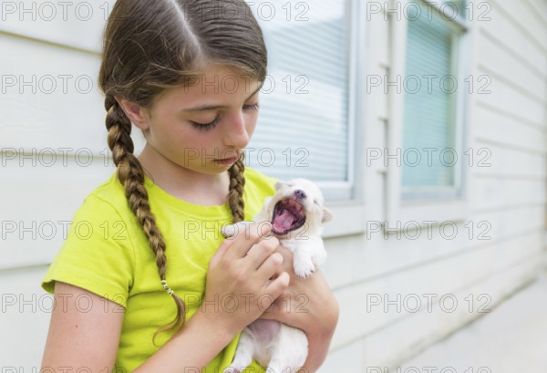 Girl playing with puppy chihuahua pet dog outdoor