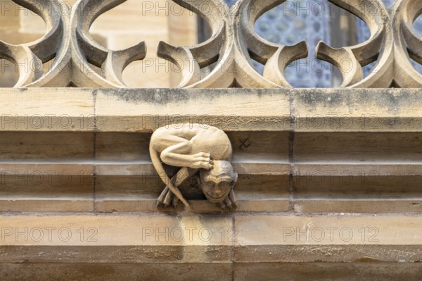 An image of a detail of Saint Theobald's Church, Thann
