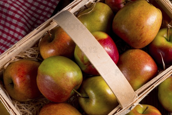 Autumn Apple