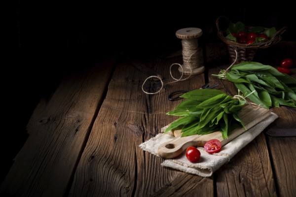 Allium ursinum fresh wild garlic with many valuable vitamins