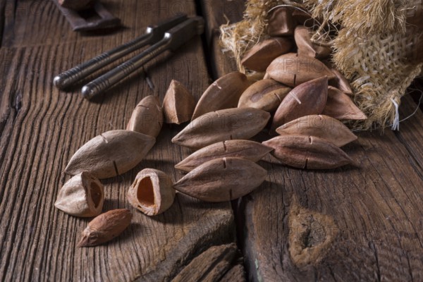 Canarium ovatum, commonly known as pili is a species of tropical tree