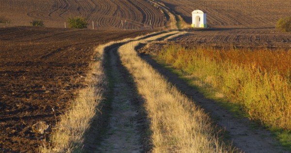 Small chapel in the autumn field. Autumn landscape with agricultural land, recently plowed and prepared for the crop.Central Bohemian Upland, Czech Republic, Europe