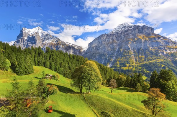 Grindelwald, Switzerland aerial village view and autumn Swiss Alps mountains panorama landscape, wooden chalets on green fields and high peaks in background, Bernese Oberland
