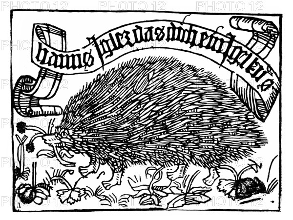 Bookplate of Johannes Knabensperg, called Igler, wood engraving, 1450
